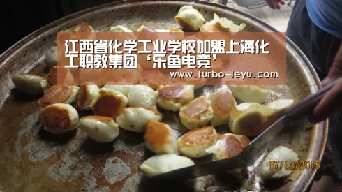 江西省化学工业学校加盟上海化工职教集团‘乐鱼电竞’(图1) 乐鱼电竞