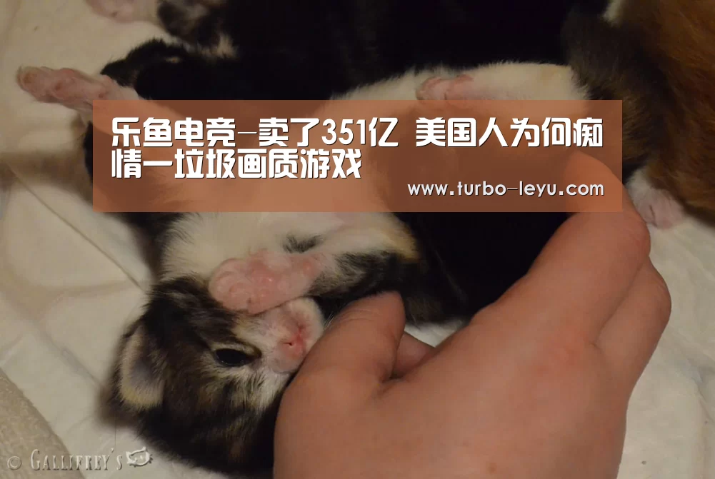 乐鱼电竞-卖了351亿 美国人为何痴情一垃圾画质游戏(图4) 乐鱼电竞-卖了351亿 美国人为何痴情一垃圾画质游戏(图4)
